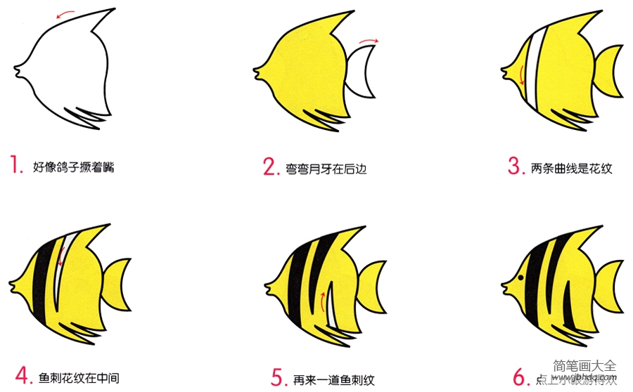 热带鱼的简笔画画法(2)