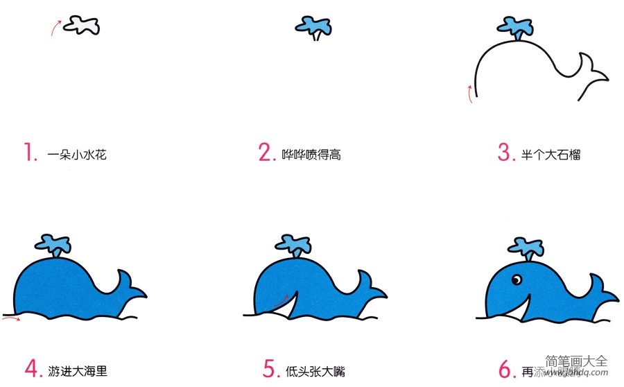 鲸鱼的简笔画画法(2)