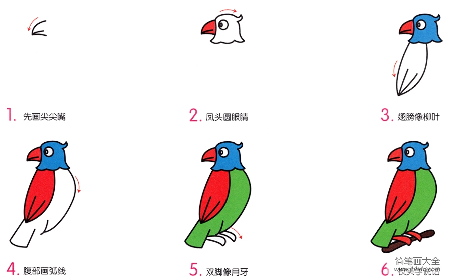 小鹦鹉的简笔画画法(2)