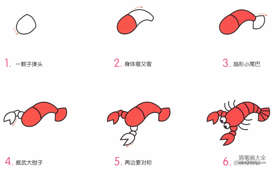 小龙虾简笔画画法(2)