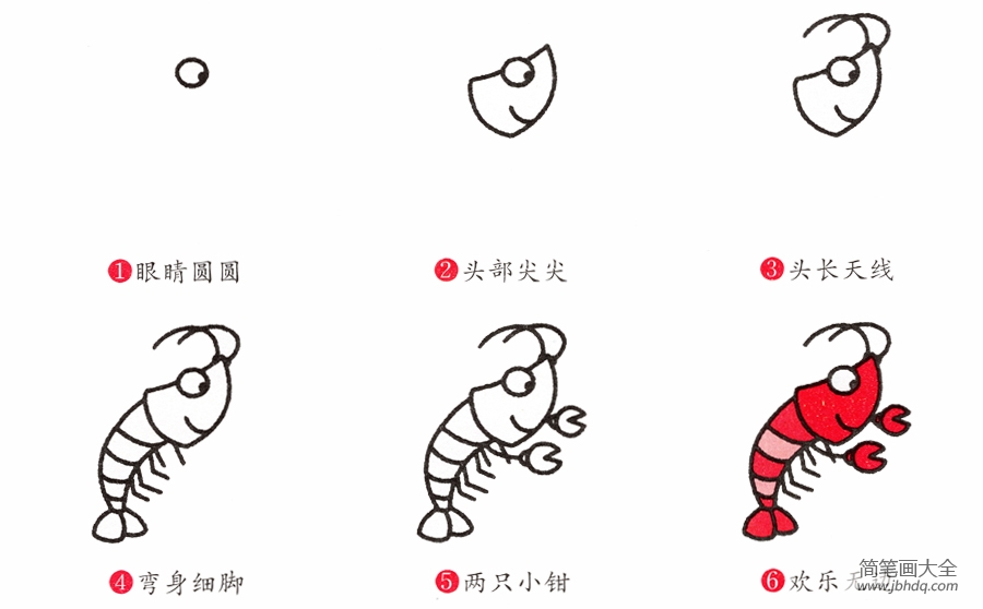 简笔画龙虾的画法(2)