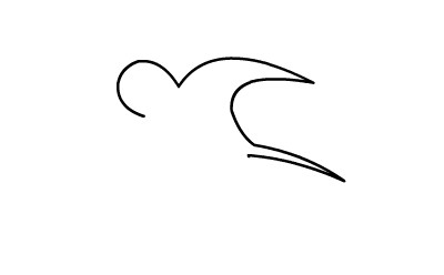 简笔画小燕子的画法(2)