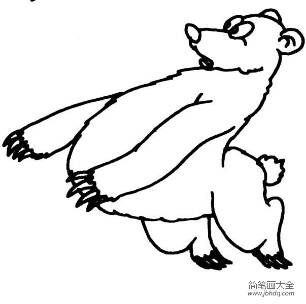 一组卡通熊的简笔画图片