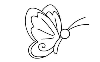 简笔画动画教程之蝴蝶的绘画分解步骤(5)