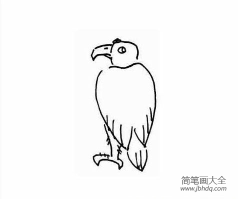 一组关于老鹰的简笔画图片(2)