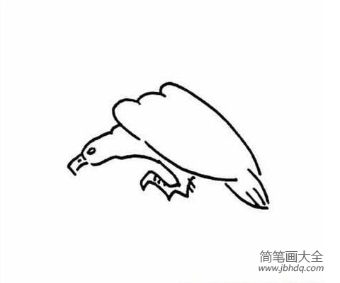 一组关于老鹰的简笔画图片(3)