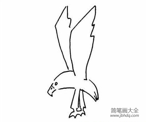 一组关于老鹰的简笔画图片(4)