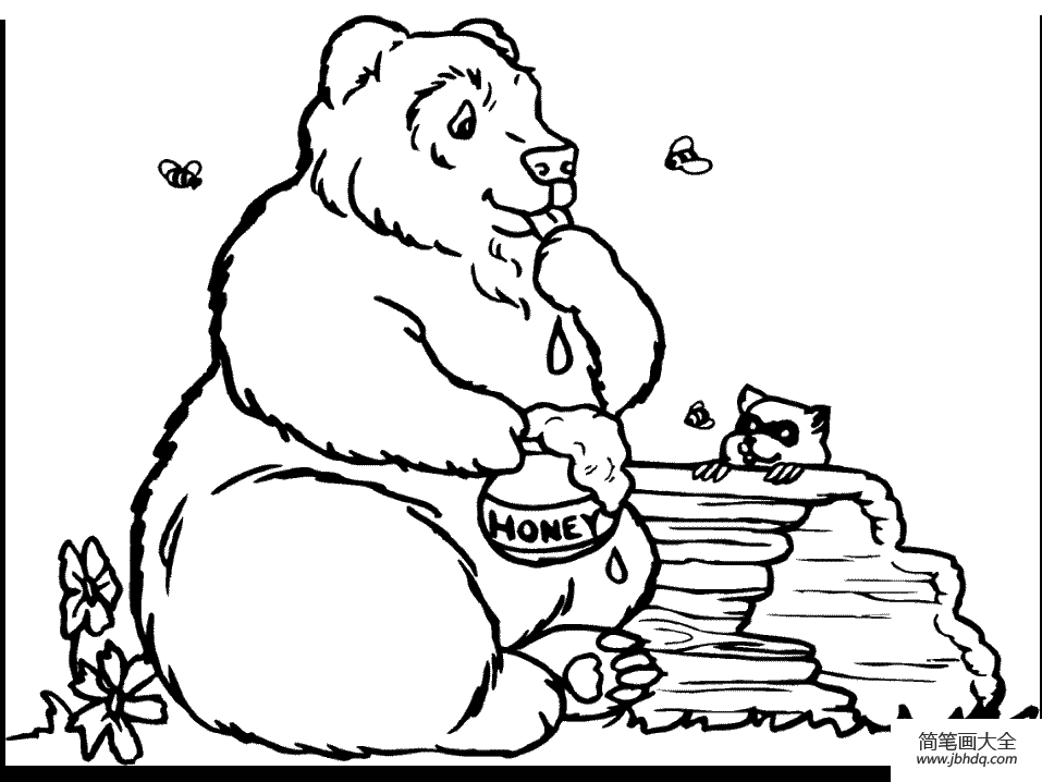 在吃东西的黑熊