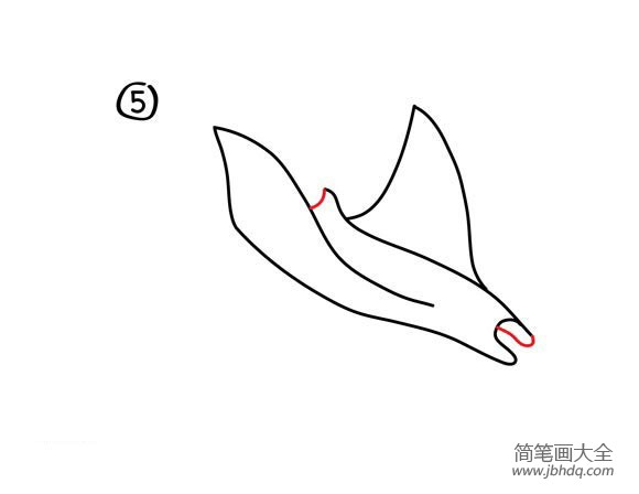 如何画魔鬼鱼 魔鬼鱼简笔画步骤(5)