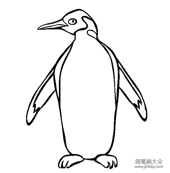 动物简笔画大全 快乐的企鹅简笔画图片(2)