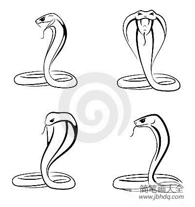 蛇的简笔画图画(2)