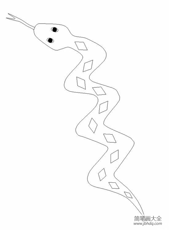 精选关于蛇的简笔画(2)