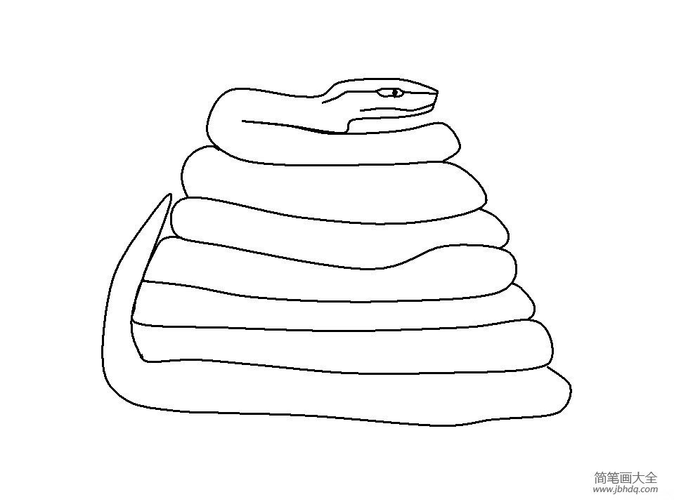 简单蛇的简笔画(3)