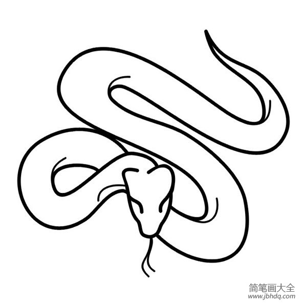 爬行动物蛇的简笔画(3)