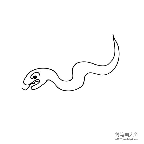 关于蛇的简笔画(2)