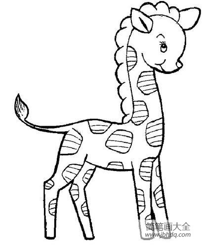 动物简笔画大全 长颈鹿简笔画画法(3)