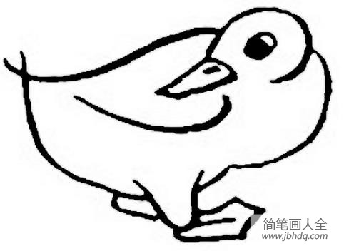 生动的小鸭子简笔画(3)