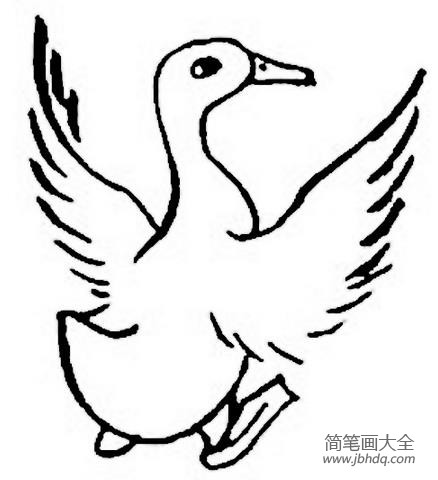 好看的小鸭子简笔画图片(2)