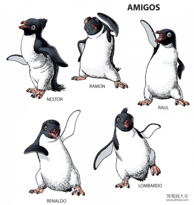 企鹅简笔画 快乐的大脚简笔画图片(4)
