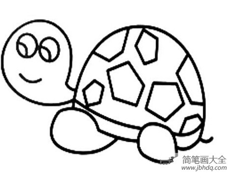 小乌龟可爱的简笔画(2)