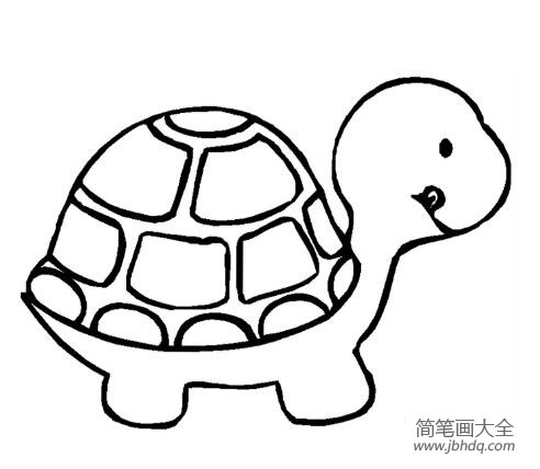 小乌龟可爱的简笔画(3)