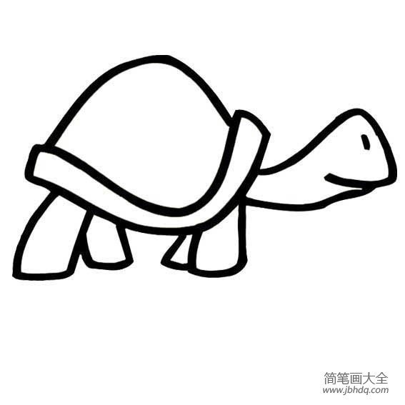幼儿乌龟的简笔画画法(3)