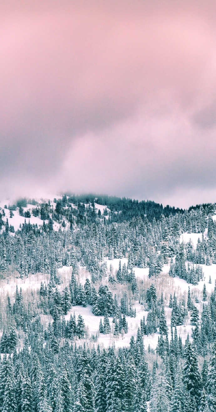 关于冬天雪景的唯美图片大全(3)