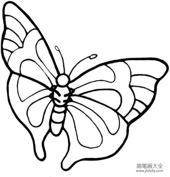翩翩飞舞的蝴蝶简笔画(2)