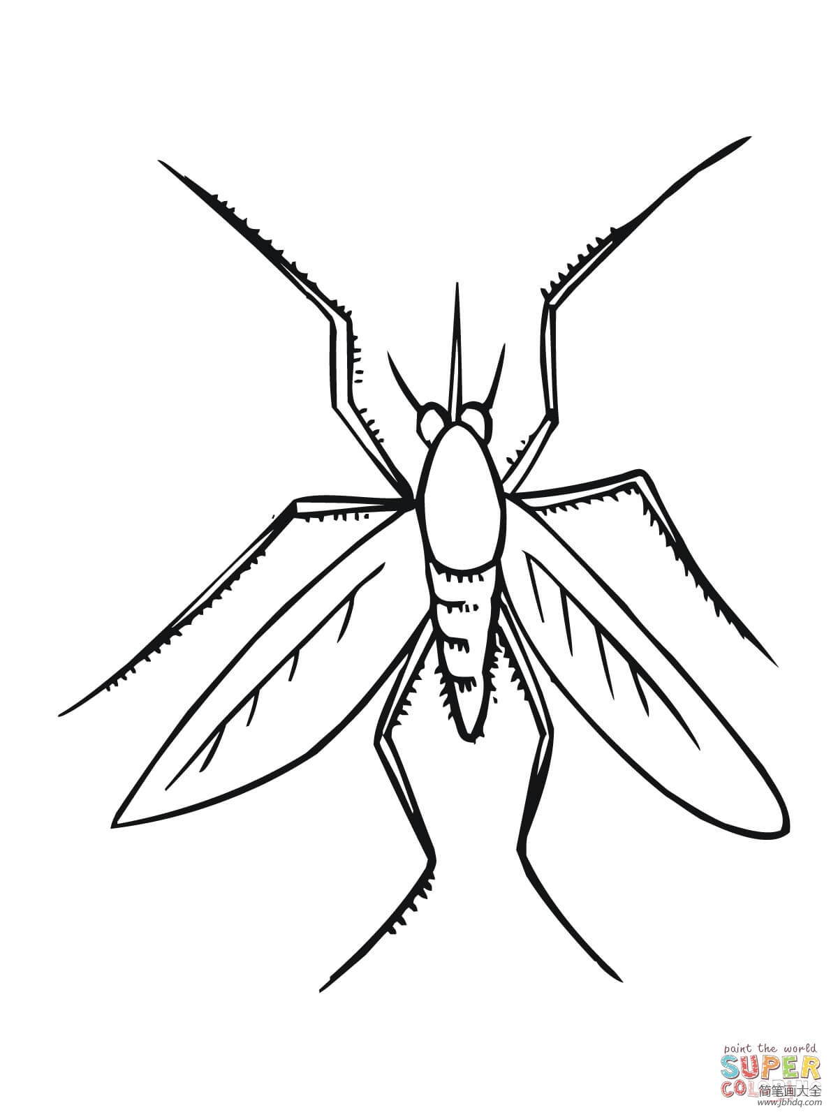 小蚊子的画法简笔画