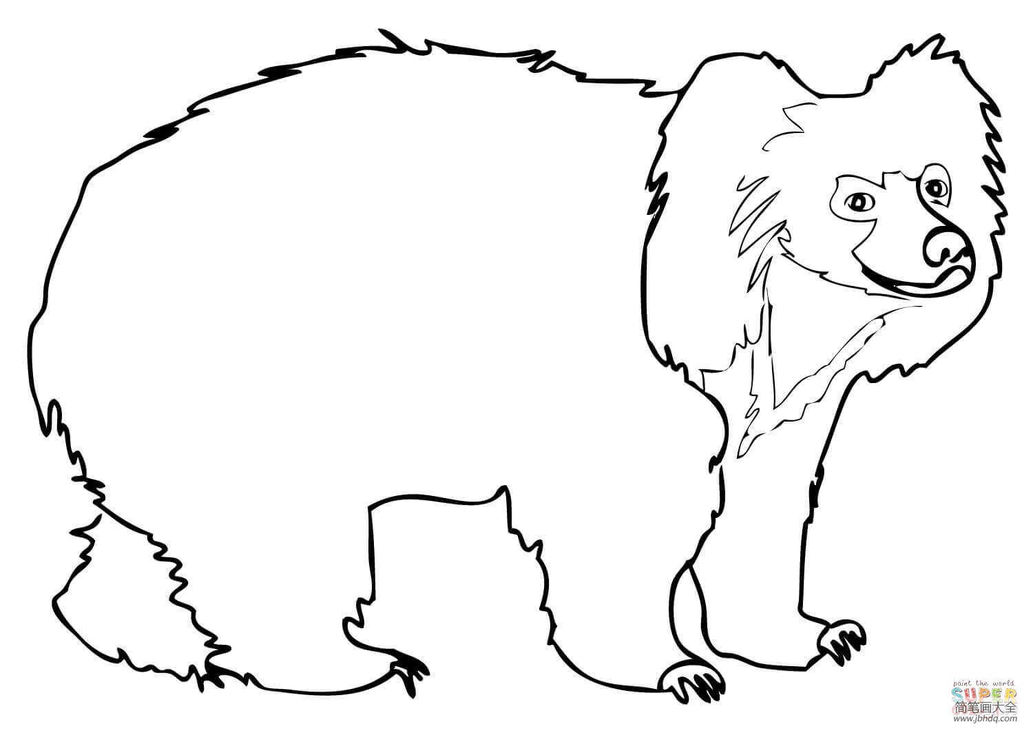 简单的懒熊画法
