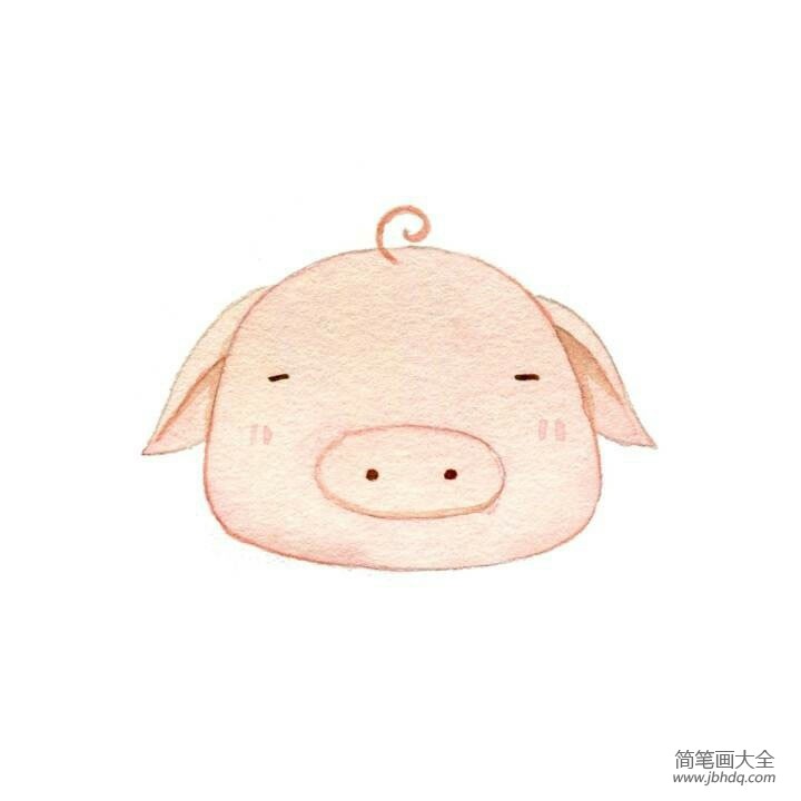 可爱的小猪头像简笔画图片