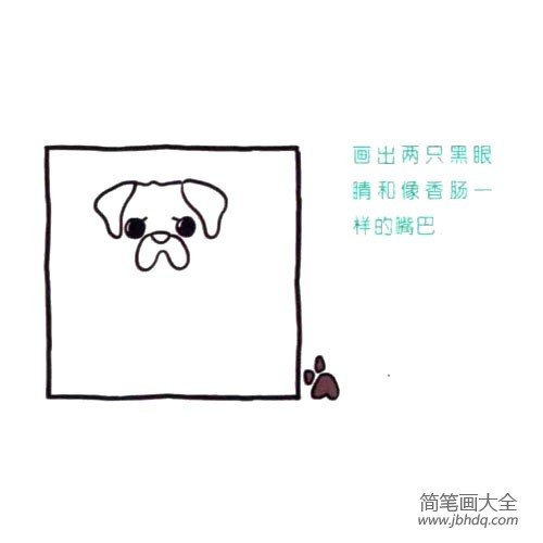 四步画出可爱简笔画 怎么看都心情不佳的八哥犬(2)
