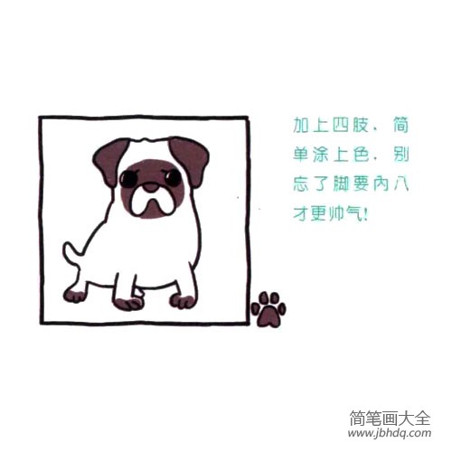 四步画出可爱简笔画 怎么看都心情不佳的八哥犬(4)
