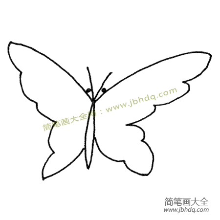 简单的蝴蝶简笔画图片大全(3)
