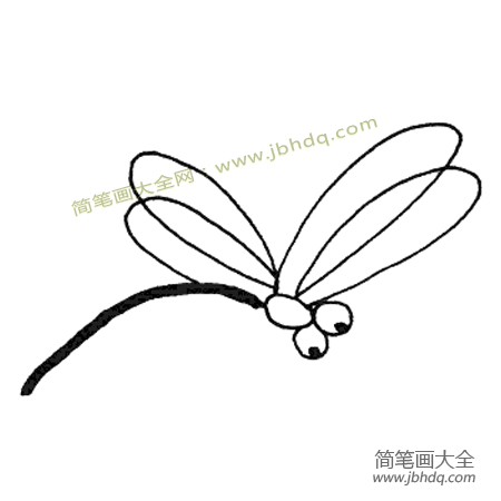 简单的动物简笔画 蜻蜓简笔画图片(2)