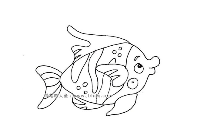 14种热带鱼简笔画图片大全(2)