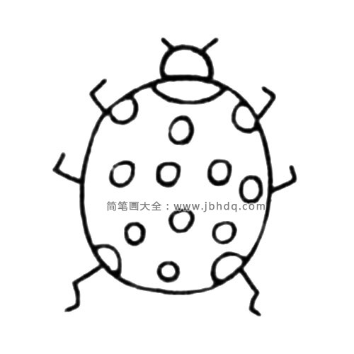 可爱的瓢虫简笔画教程(4)