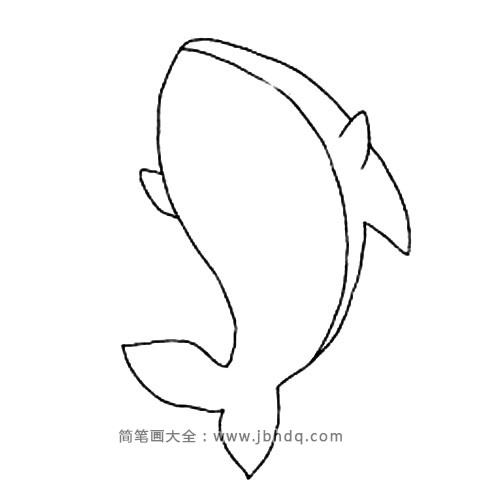 动物的画法 鲨鱼(2)