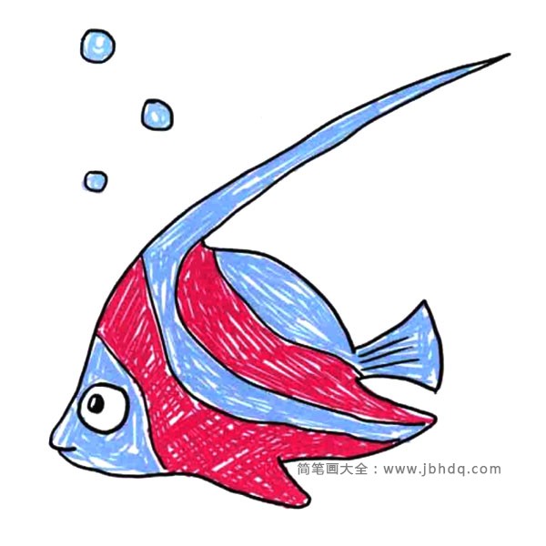 鱼儿水中游 一组漂亮的小鱼简笔画图片(4)