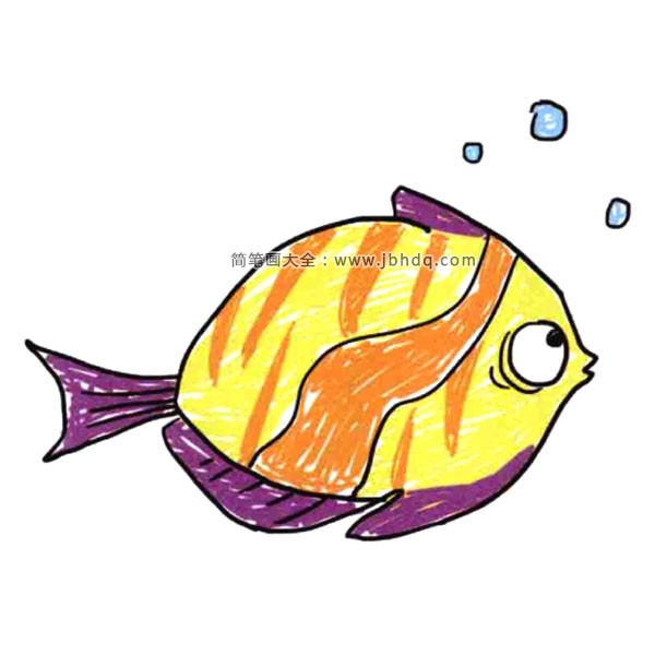 鱼儿水中游 一组漂亮的小鱼简笔画图片(5)