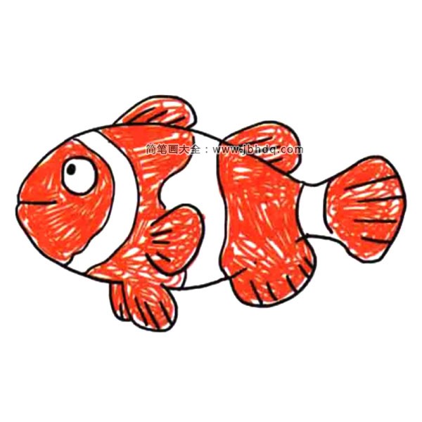 鱼儿水中游 一组漂亮的小鱼简笔画图片(6)