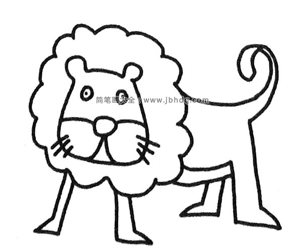 一组可爱的小狮子简笔画图片(5)