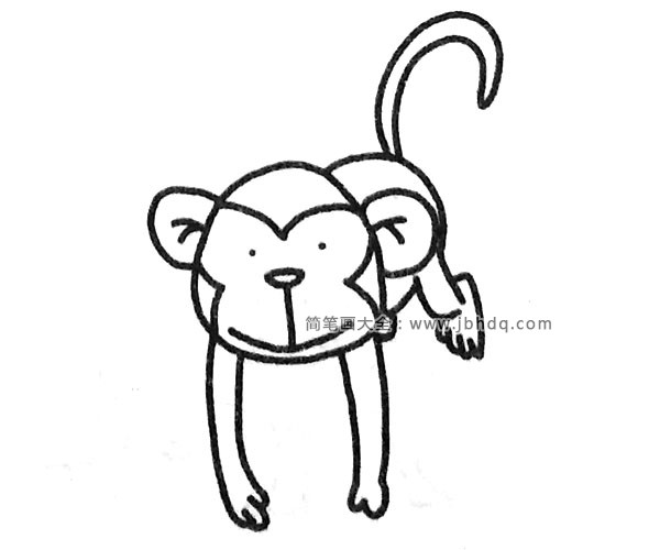 一组可爱的猴子简笔画图片(5)