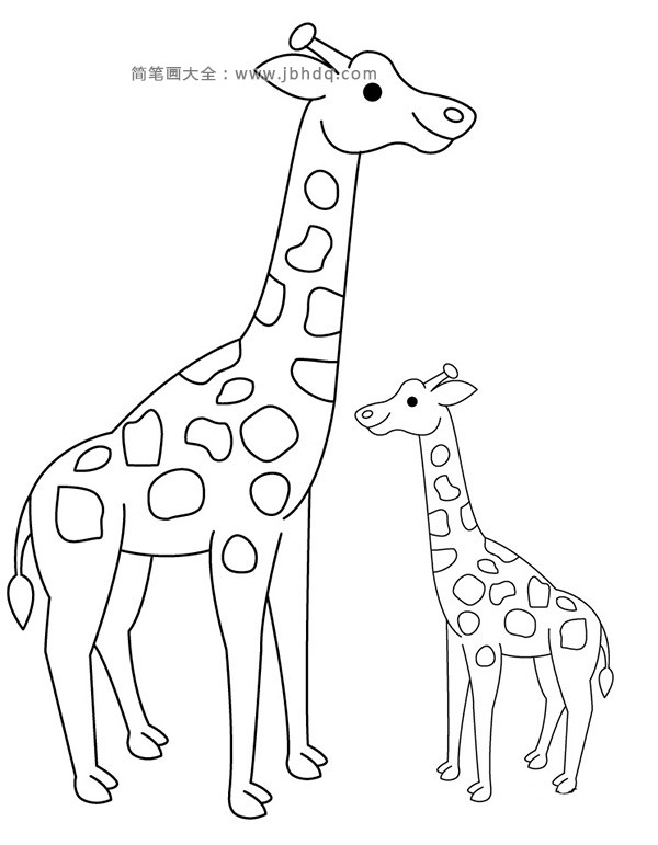 小长颈鹿和长颈鹿妈妈