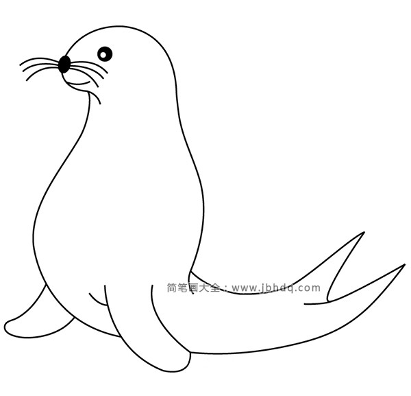 儿童动物简笔画 海豹