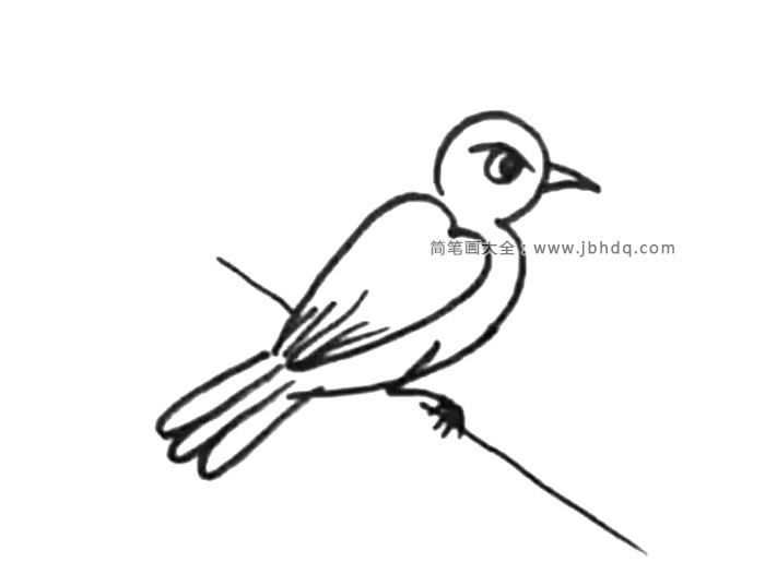 两张超简单的小鸟简笔画画法(2)