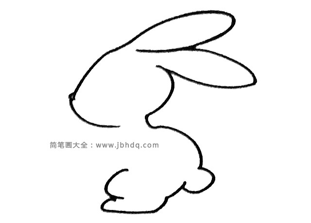 四步学画小兔子(2)