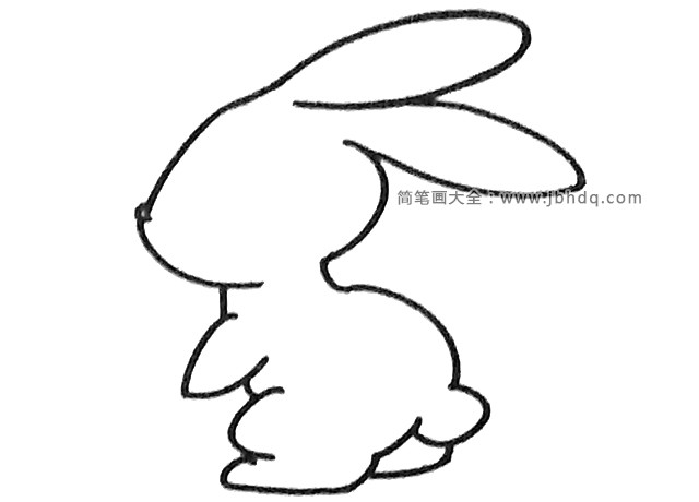 四步学画小兔子(3)