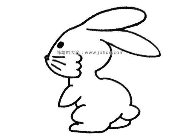 四步学画小兔子(4)