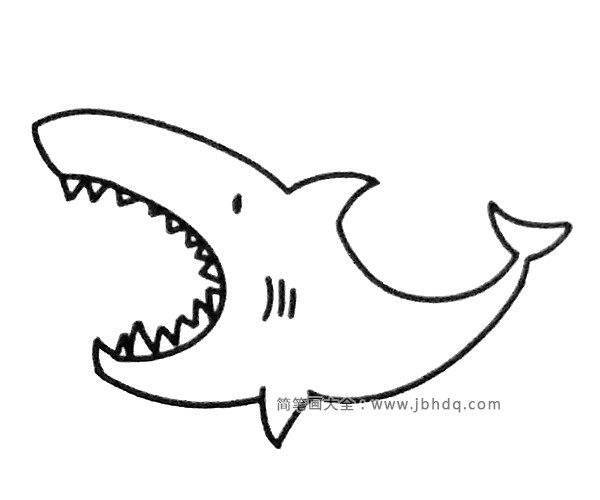 一组卡通鲨鱼简笔画图片(2)